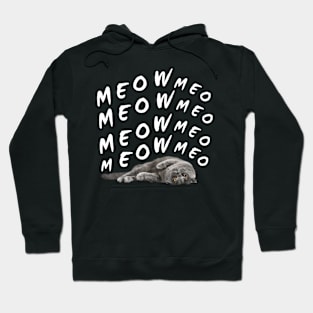 meow meow lazy cool cat Hoodie